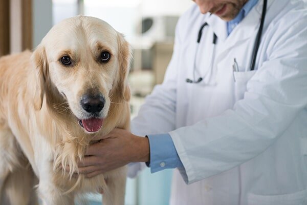 Emergency Care